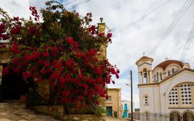 Wycieczka: Ja, tato i mama z Pafos do farmy osiołków